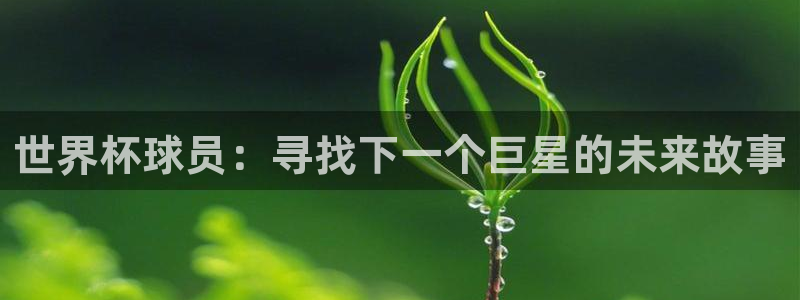 足球世界杯预选赛:世界杯球员:寻找下一个巨星的未来故事