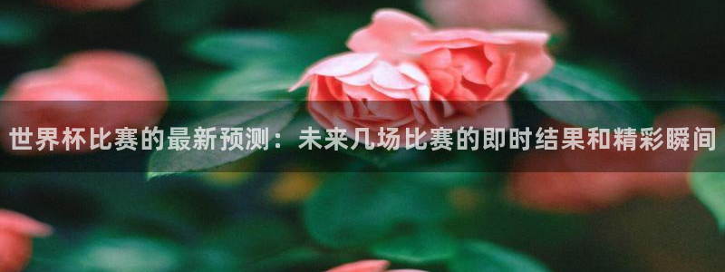 2026世界杯日期:世界杯比赛的最新预测:未来几场比赛的即时结果和精彩瞬间