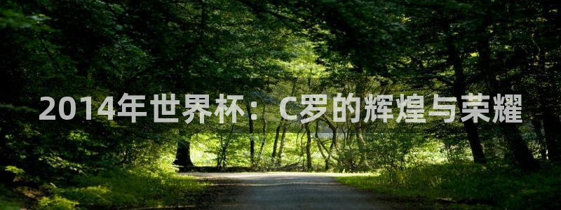 英足总杯直播:2014年世界杯:C罗的辉煌与荣耀