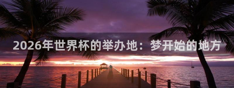 世界杯:2026年世界杯的举办地:梦开始的地方