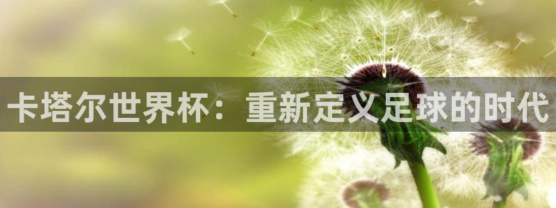 世界杯2026赛制:卡塔尔世界杯:重新定义足球的时代