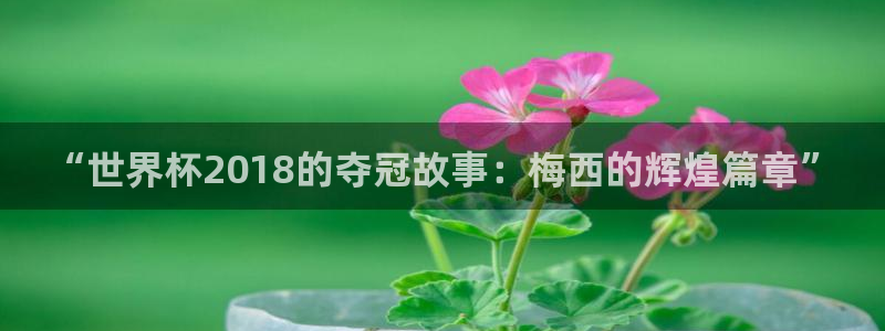 2026世界杯亚洲区预选赛:“世界杯2018的夺冠故事:梅西的辉煌篇章”