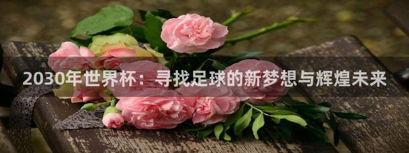 世界杯足球直播:2030年世界杯:寻找足球的新梦想与辉煌未来